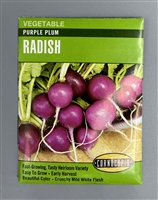 Cornucopia Purple Plum Radish Seeds