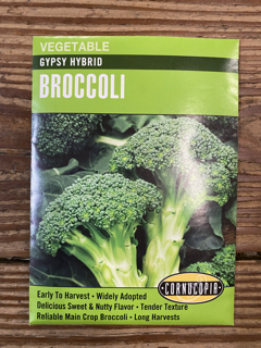 Cornucopia Gypsy Hybrid Broccoli