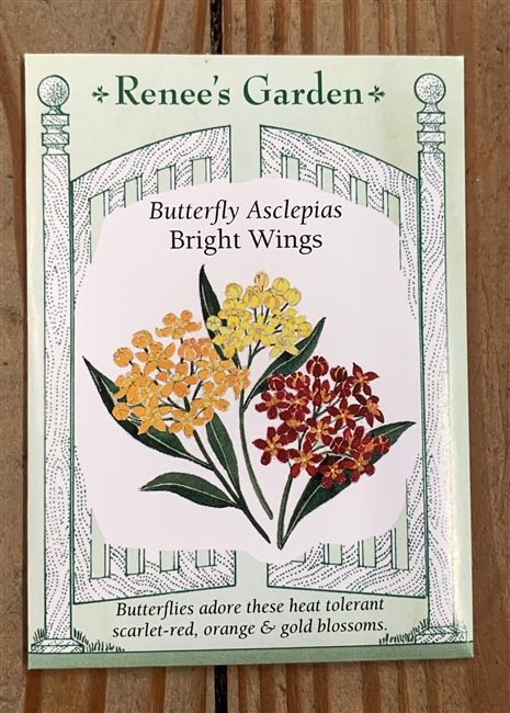 Renee's Garden Asclepias Bright Wings (Butterfly Milkweed)