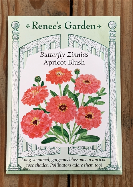 Renee's Garden Zinnia Apricot Blush