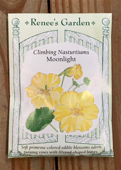 Renee's Garden Nasturtium Moonlight Climbing