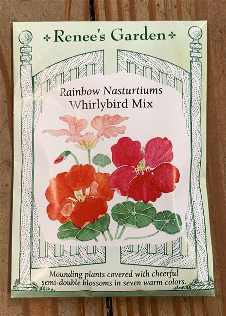 Renee's Garden Nasturtium Whirlybird