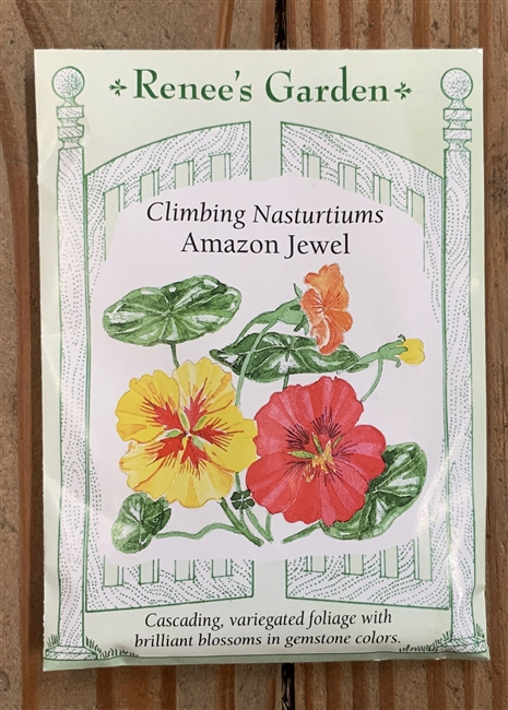Renee's Garden Nasturtium Amazon Jewel Climbing
