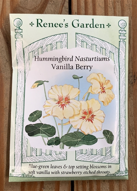 Renee's Garden Nasturtium Vanilla Berry