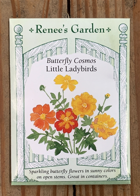 Renee's Garden Cosmos Little Ladybirds