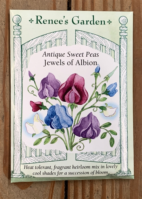 Renee's Garden Sweet Pea Jewels of Albion