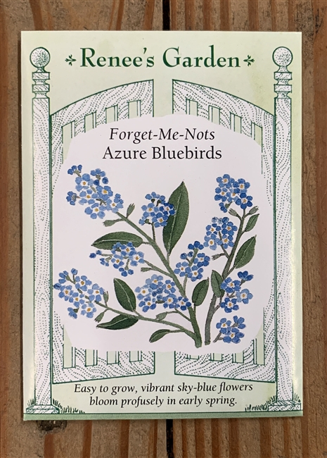 Renee's Garden Forget-Me-Not Azure Bluebirds