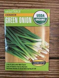 Cornucopia Organic Bunching Evergreen Onion