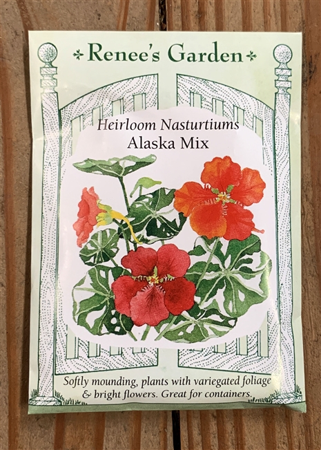 Renee's Garden Nasturtium Alaska Mix