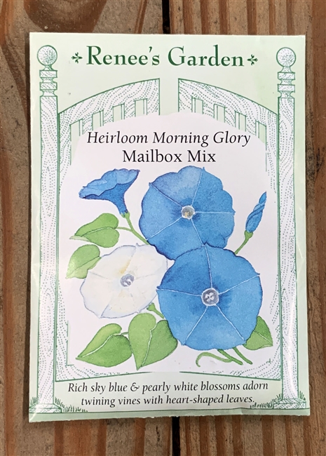 Renee's Garden Morning Glory Mailbox Mix