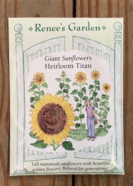 Renee's Garden Sunflowe Titan Giant