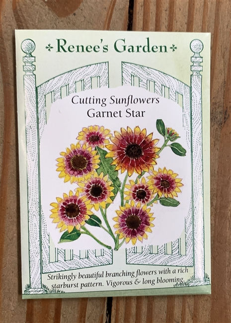 Renee's Garden Sunflowe Garnet Star