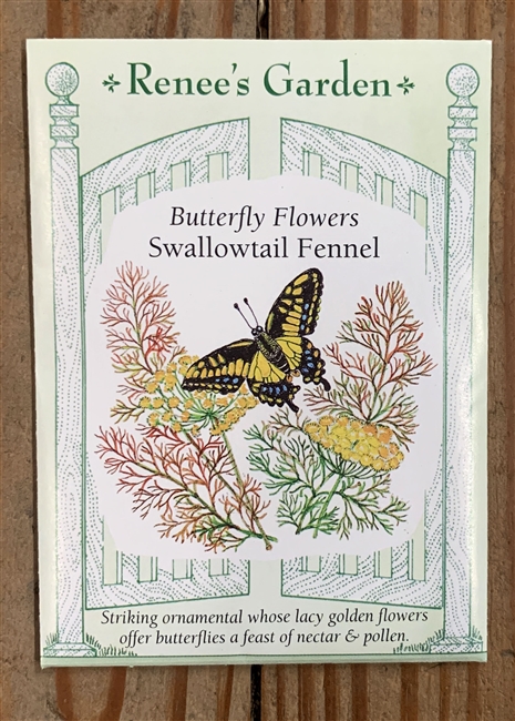 Renee's Garden Fennel Swallowtail