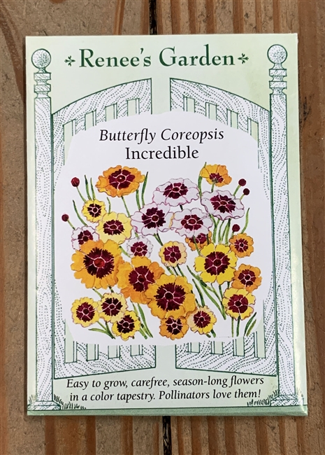 Renee's Garden Coreopsis Incredible
