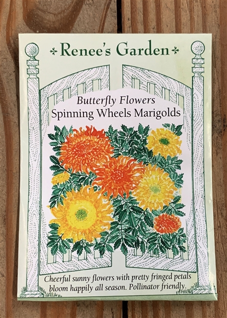 Renee's Garden Marigold Spinning Wheels