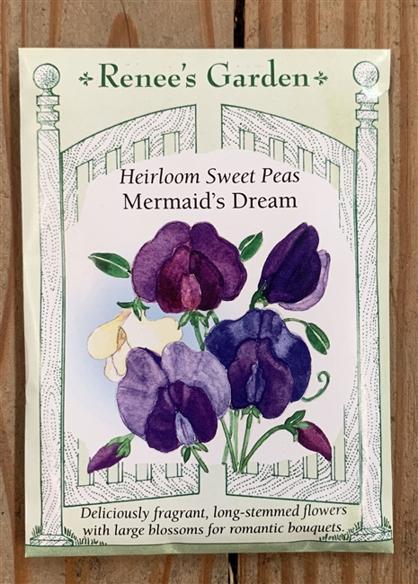 Renee's Garden Sweet Pea Mermaids Dream