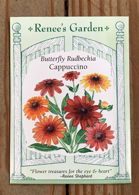 Renee's Garden Rudbeckia Cappuccino