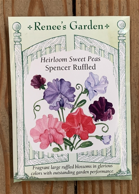 Renee's Garden Sweet Pea Spencer Ruffled