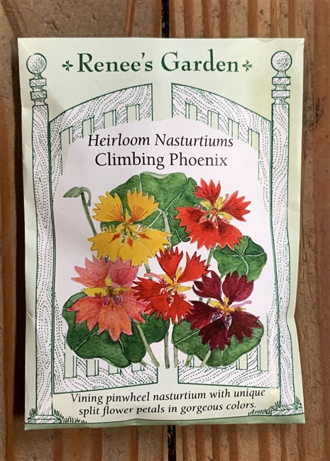 Renee's Garden Nasturtium Phoenix Climbing