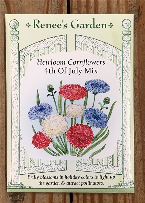 Renee's Garden Cornflower 4th of July Mix