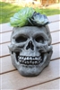 Massarelli Skull Planter, 6"