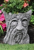 Massarelli Tree Stump Face Planter, 18"