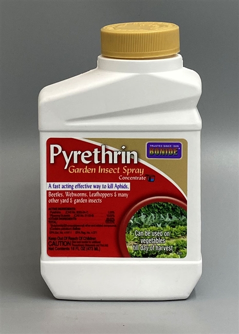 Bonide Pyrethrin Garden Insect Spray Concentrate 16 oz