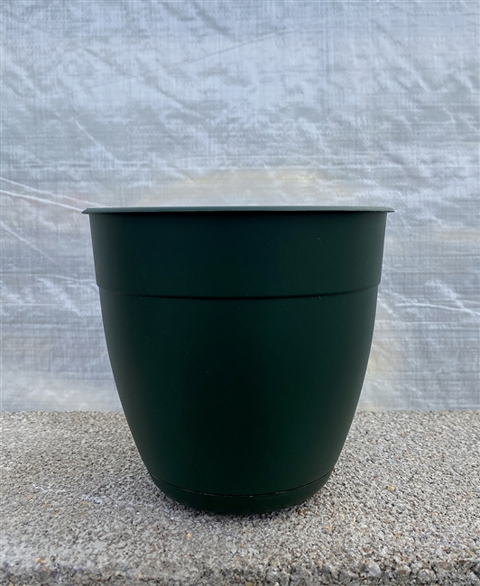 Dayton Planter Turtle Green 6"