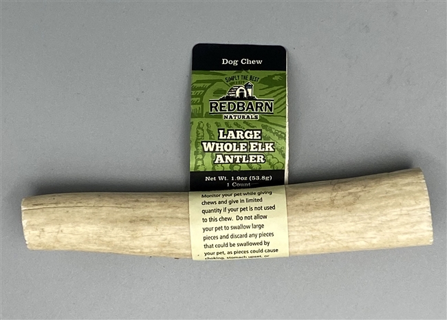 Red Barn Whole Elk Antler Large