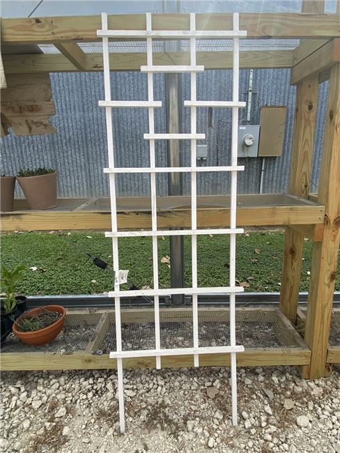 Framed Square Trellis 2'x6' White