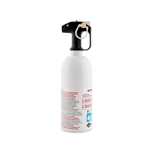 First Alert 2.4# Dry Chemical Home Fire Extinguisher