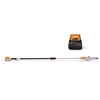 STIHL HTA50 Battery Pole Pruner Kit with AK20 Battery & AL101 Charger