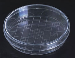 100mm Plastic  Petri Dish with Grid- Pack of 500