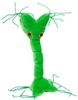 Giant Microbes- Nerve Cell