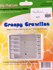 Creepy Crawlies Slide Set