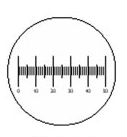 Microscope Eyepiece Reticle - 0.1mm Linear Scale 20mm Diameter