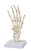Flexible Hand Skeleton Model