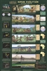 Human Evolution - Laminated