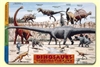 Dinosaurs Placemat