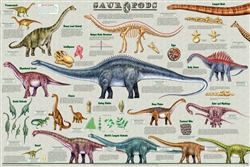 Sauropods Poster - Laminated