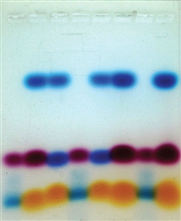 Introduction to Electrophroesis Experiment Kit