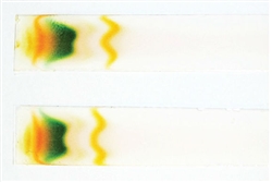 Electrophoretic and Chromatographic Analysis of Photosynthetic Pigments from Blue-Green Algae