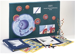 HIV Model Activity Set