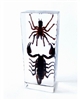 Black Scorpion and Tarantula Block Paperweight