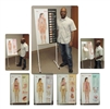 See-Through Sally Human Anatomy Display