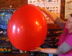 Monster 36" Red Balloon