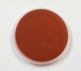 Levine EMB Agar 10 plates