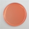 Mannitol Salt Agar 10 Plates