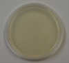 Tryptic Soy Agar 10 prepared plates