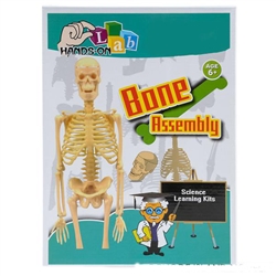 Learn Science Bone Assembly